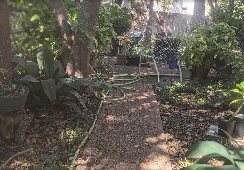 Lush shaded courtyard walkway on Swandale Dr