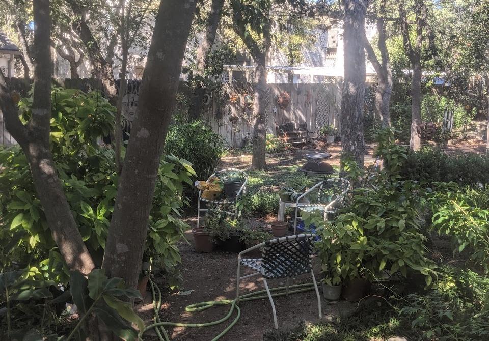 Private backyard garden on Swandale Dr